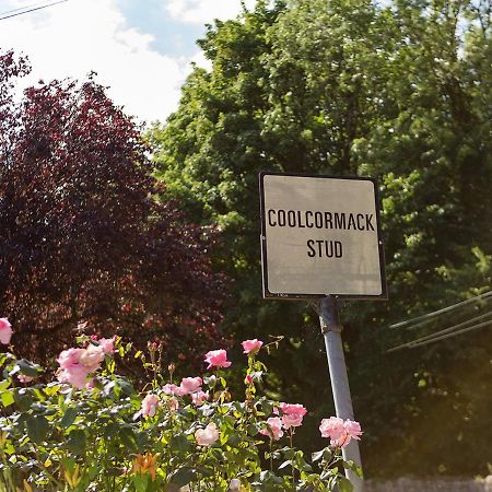 Coolcormack Stud B&B Dungarvan  Extérieur photo