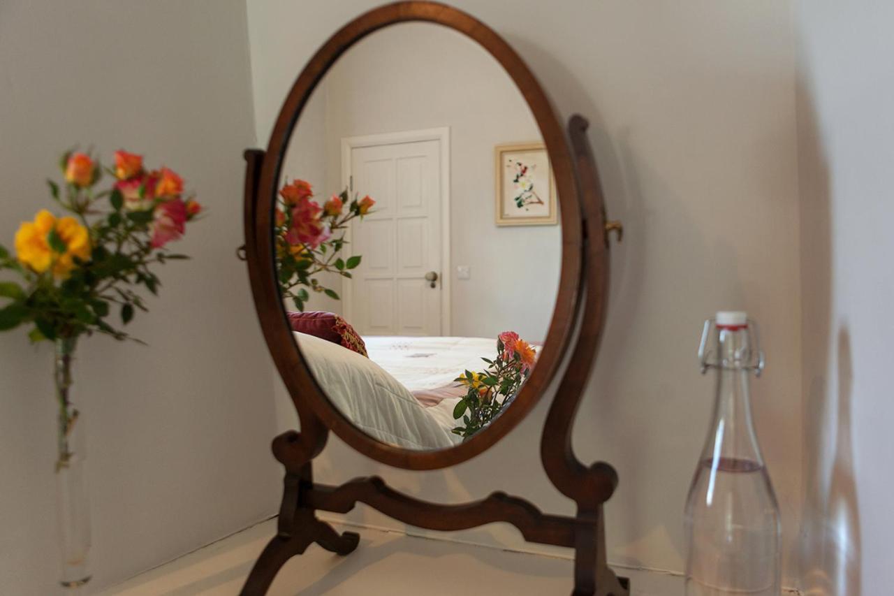 Coolcormack Stud B&B Dungarvan  Extérieur photo