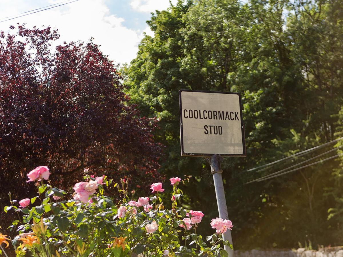 Coolcormack Stud B&B Dungarvan  Extérieur photo