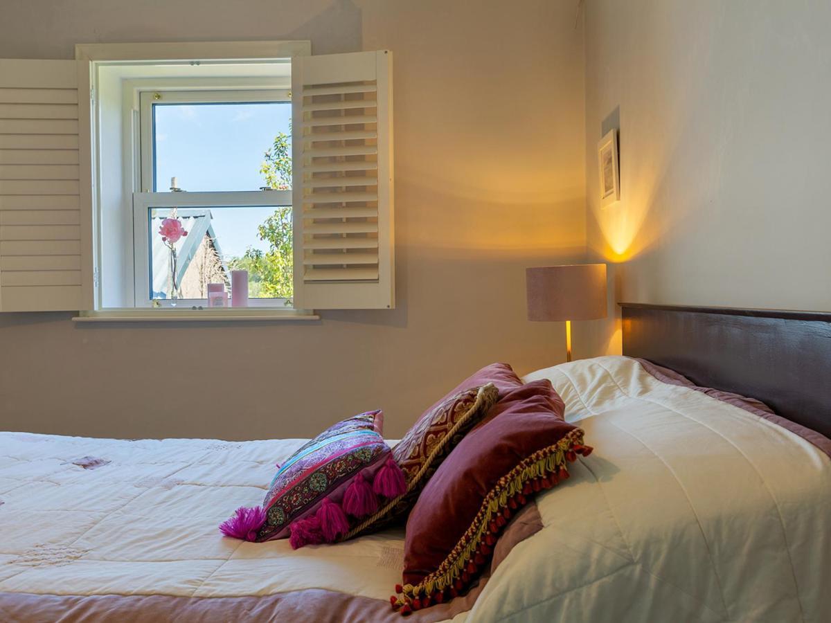 Coolcormack Stud B&B Dungarvan  Extérieur photo